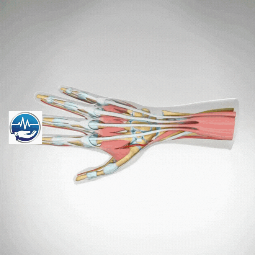 Muñequera de Electro-terapia profesional